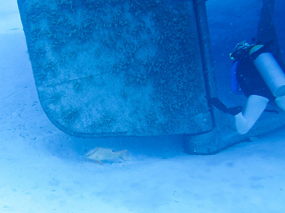 0088caymans-056