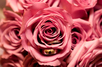 NadiaOmarWedding-4588