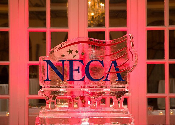 NECA-2019-223