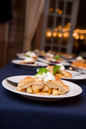 490-Alissa-Jared-vineyard-wedding-4602