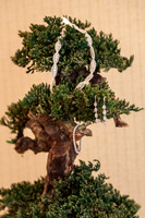 0022EricaZachWedding7633