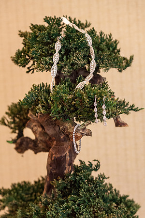 0022EricaZachWedding7633