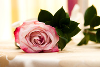 0375EricaZachWedding8341