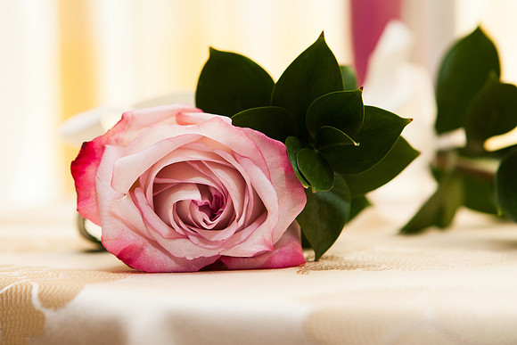 0375EricaZachWedding8341