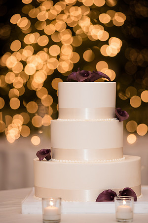 365-ocean-cliff-wedding-newport9950