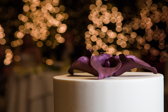 487-ocean-cliff-wedding-newport2378