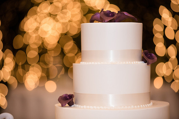366-ocean-cliff-wedding-newport9959