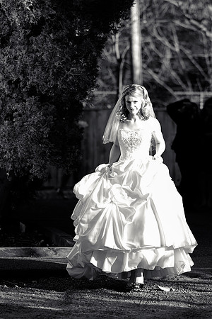 064-ocean-cliff-wedding-newport9741