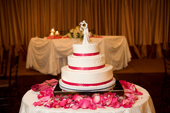 0226AngelaDaveWedding9665