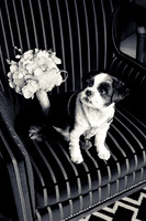 060-hotel-marlowe-wedding-3344