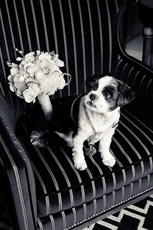 060-hotel-marlowe-wedding-3344