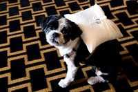 023-hotel-marlowe-wedding-