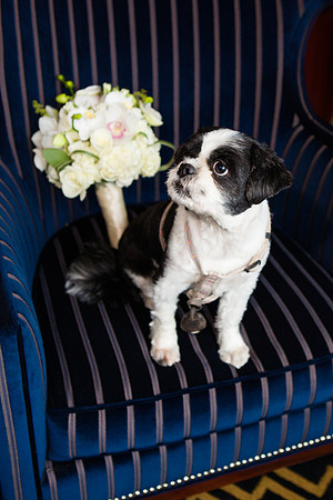 058-hotel-marlowe-wedding-3340