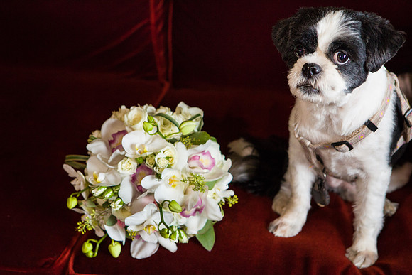 036-hotel-marlowe-wedding-3315