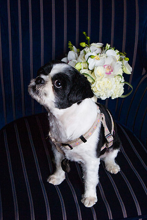 062-hotel-marlowe-wedding-3362