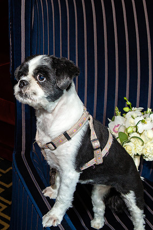 061-hotel-marlowe-wedding-3361