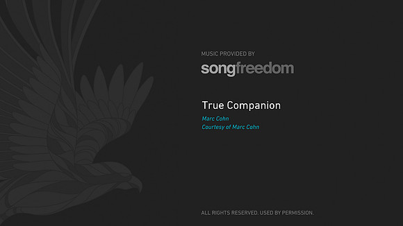 true companion new License Slide