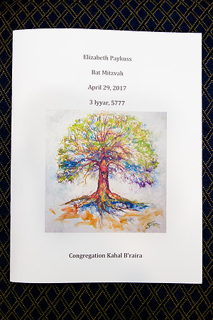 bat-mitzvah-3454