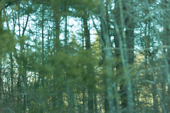 background-samples-2038