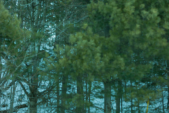 background-samples-2029