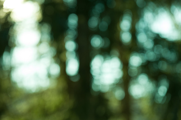 background-samples-1813
