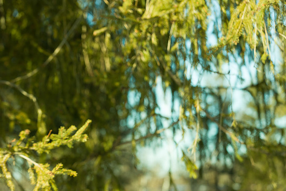 background-samples-2008