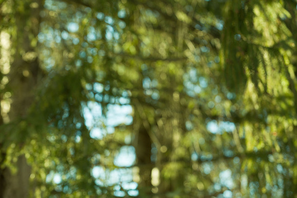 background-samples-2023