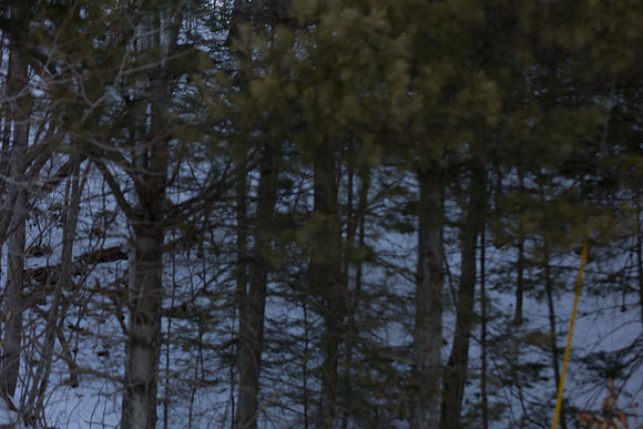 background-samples-2025