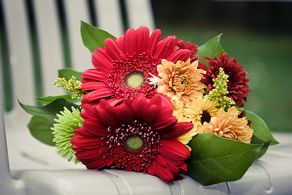 0268AllisonTomWedding0780