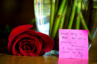 newburyport-wedding-004-5481