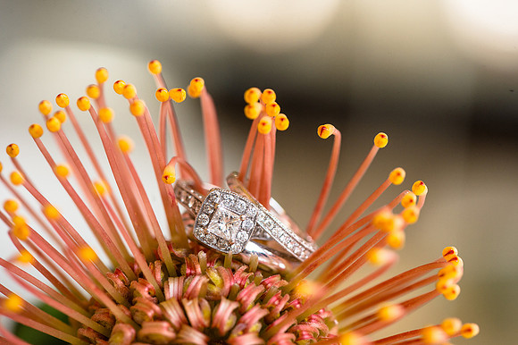 newburyport-wedding-540-6092