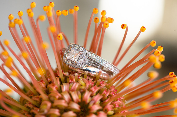newburyport-wedding-539-6087