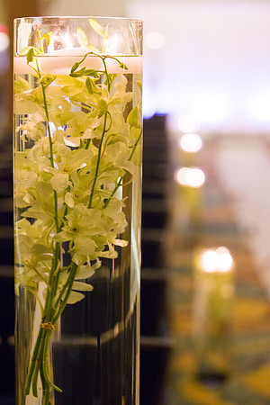 226Boston-Marriott-Long-Wharf-Wedding-Fuccis-Photos3314
