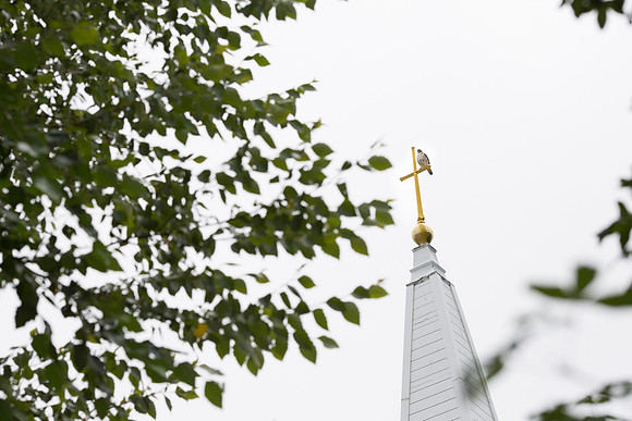 026-scituate-engagement-1215