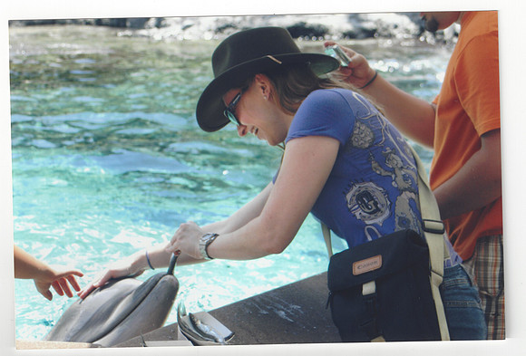vail feeding dolphin
