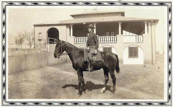poppy on horse