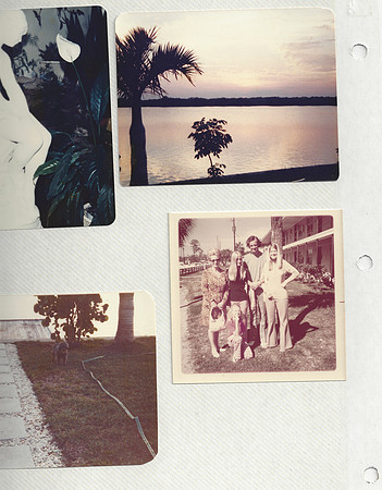 70s hair florida