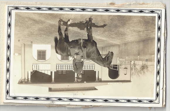Scan 7