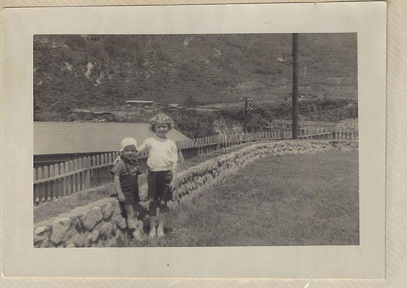 martha-fence