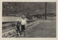 martha-fence 1