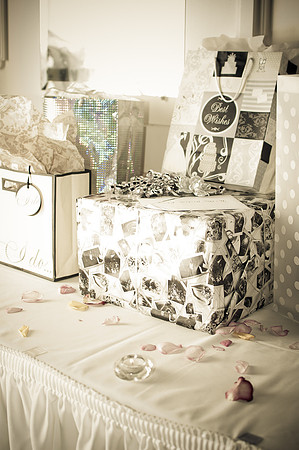 0747stephaniemichael-12201220