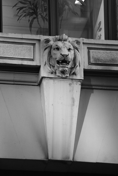IMG_0114