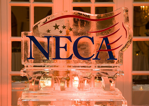 NECA-2019-217