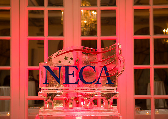 NECA-2019-225