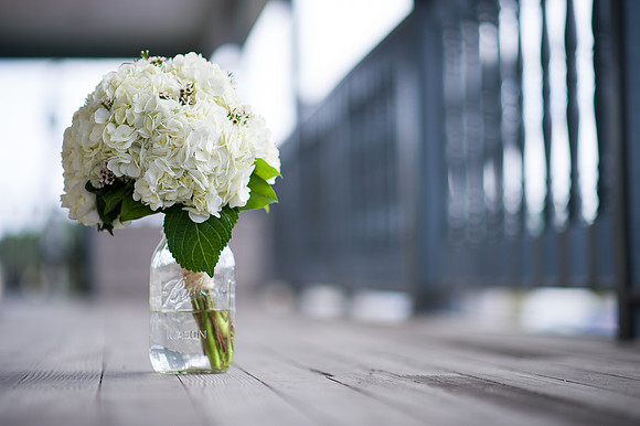 015-Alissa-Jared-vineyard-wedding-3911