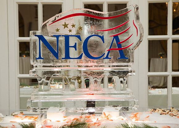 NECA-2019-216