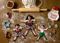 lieberman-family-gingerbread-2019-2
