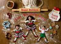 lieberman-family-gingerbread-2019-3
