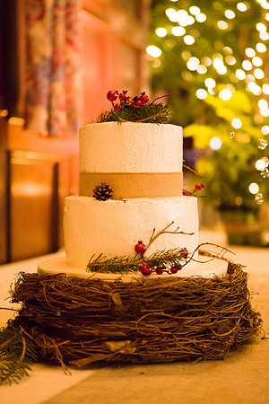 617-kevin-lauren-wedding-9404