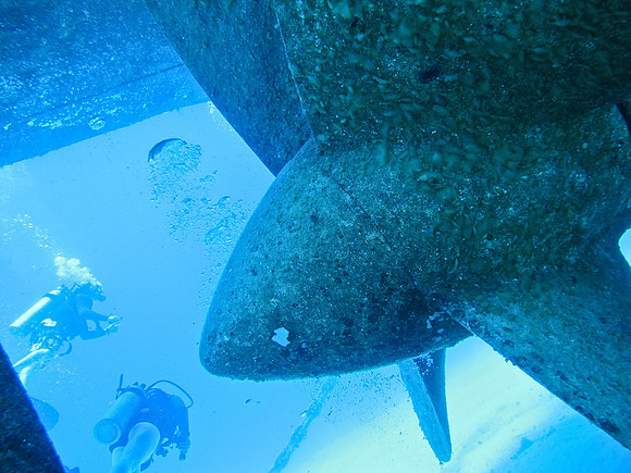 0088caymans-059
